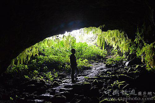 干细胞科普展馆展厅中,中控系统的重要性《智能化控制和管理》-思威图数字